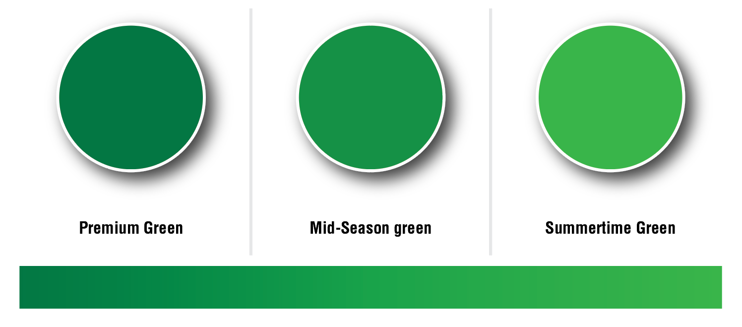 Garden Coating Dog spot repair Ready to use grasverf 500 ml